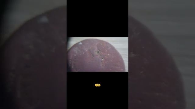 ОБЗОР МОНЕТ СО ВСЕГО МИРА! #шортс #ютуб #ютубшортс #shorts #монета #монеты #обзор #youtube #youtubes смотреть онлайн