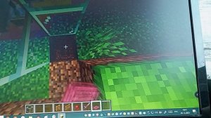 Фермаа опыта с помощью броненосцев в Майнкрафте