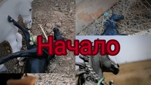 Сериал "Путь". Часть первая :начало. Лошади шляйх видео.