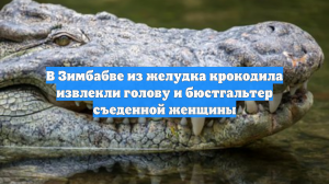 В Зимбабве из желудка крокодила извлекли голову и бюстгальтер съеденной женщины