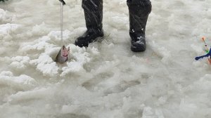 Основной водоём. На пасту.