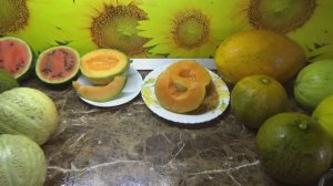 Какая дыня самая сладкая и вкусная в 2024 году?