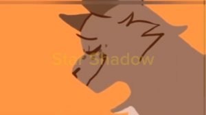 Дроздовик Эдит коты воители