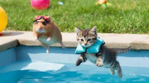 МУЛЬТИКИ ДЛЯ ДЕТЕЙ | МУЛЬТФИЛЬМЫ ДЕТЯМ