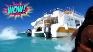 "ПРИКОЛЫ НА ЛЮБОЙ ВКУС: СМЕШНЫЕ ВИДЕО ДЛЯ ВСЕХ"