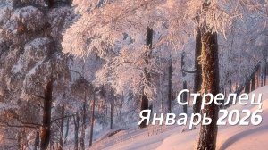 Прогноз для Стрельцов на Январь 2026