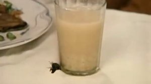 Раз пришли на угощенья клип на песню