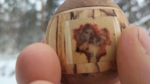 Шкатулка в декабрьском заснеженном лесу