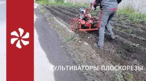 Работа с культиваторами-плоскорезами. Обрабатываем сразу два рядка.