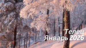 Прогноз для Тельцов на Январь 2026