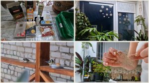 Немного покупок из Fix Price. Не даёт разгуляться приходится хитрить. Украсила окно