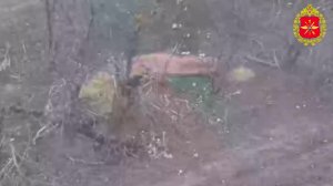 💪 Без остановки: войска беспилотных систем уничтожают противника на всех направлениях