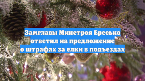 Замглавы Минстроя Ересько ответил на предложение о штрафах за елки в подъездах