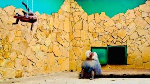 Пока Люська «соблазняет» Елисея качаясь на качели, я уговариваю Лиду покушать пюрешку