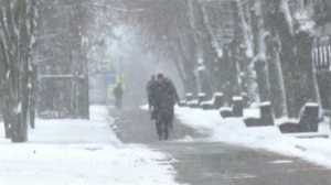 К концу дня в Москве может выпасть четверть месячной нормы осадков