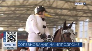 Зимнее первенство по конному спорту стартовало в Краснодаре