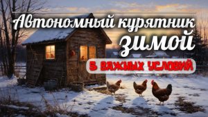 АВТОНОМНЫЙ КУРЯТНИК ЗИМОЙ: 5 правил, чтобы куры выжили без вас