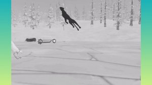 WildCraft шордц гепы