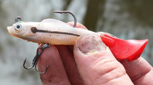 2 ФАКТОРА ХОРОШЕГО КЛЕВА ЩУКИ ВЕСНОЙ. Если вы на рыбалке и щука не клюет загуглите это.