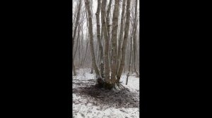 Очередная 18-летняя террористка.