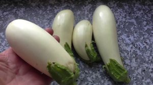 Выбираю сорта баклажанов