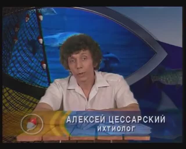 В чём необычность процесса размножения у представителей сем. Речные раки — Astacidae Latreille, 1802 смотреть онлайн