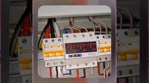 1000043551.mp4 (Собака слушает о протяжке болтовых соединений в водном электрощите в гараже у дома