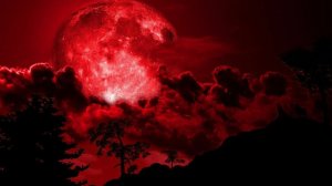 ЛУНА. Автор. Диана Светлая ОМ