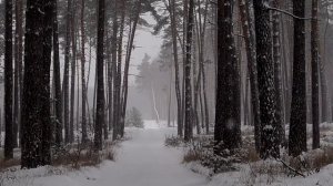 28 декабря - День Магии. Как исполнить сокровенное желание.