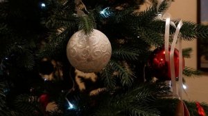 Михаил Исаев исполнит мечту 11-летнего Богдана из Саратова