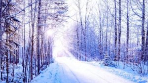 28 декабря - Особый день. Это принесёт радость всем.