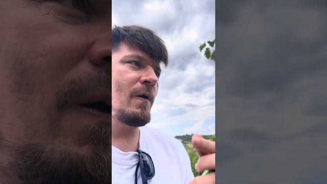 Фрушкогорская экспозиция - Хопово: Уни Блан и Пино Нуа? смотреть онлайн