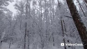 Зимняя сказка в Подмосковье!