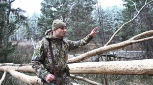 ЛОСИ ПО ВСЮДУ. ОХОТИЛСЯ НА ЗВЕРЕЙ С НОВЫМ ПРИБОРОМ. ДОБЫЧА МЯСА НА ТУШЕНКУ.