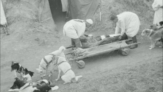 Серобабин Василий Андреевич