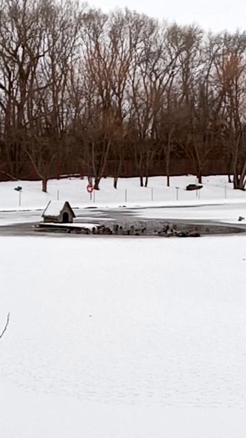 Турбаза Солнечный остров в Среднеахтубинском районе Волгоградской области
