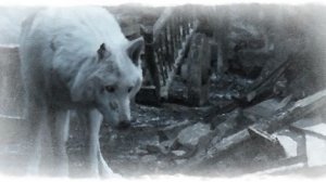 Жил как жил Олег Юргаев и ИИ