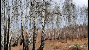 Артём Гельман - Песня о пьянстве. 1995 год