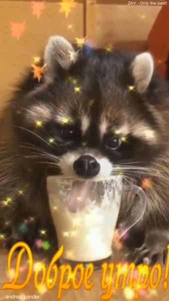 Доброе утро!) Замечательного дня!) #доброеутро смотреть онлайн