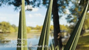 A Filmmaker's Review Of The iPhone 16 Pro