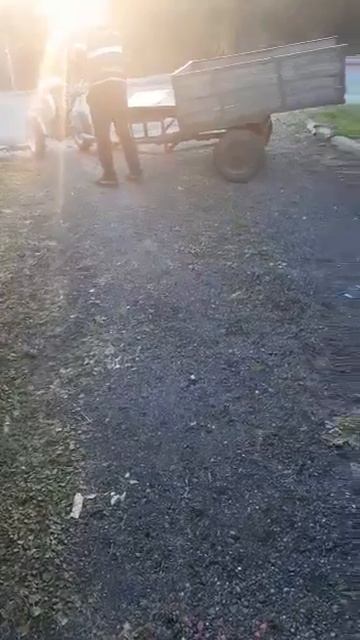 с алтая дед 2 смотреть онлайн