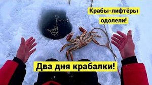 Два дня крабалки. Успели урвать краба перед пургой.