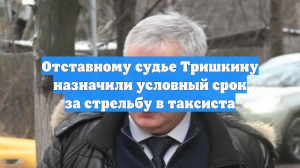 Отставному судье Тришкину назначили условный срок за стрельбу в таксиста