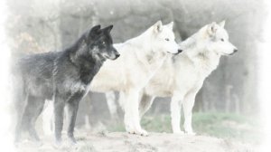 Мы вновь едины Олег Юргаев и ИИ