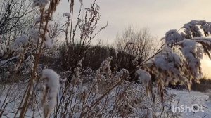 Очарование зимы