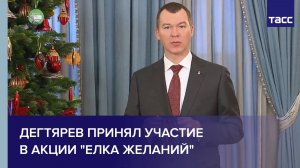 Дегтярев принял участие в акции "Елка желаний"