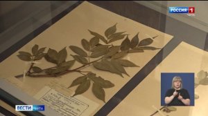 26 декабря «Вести-Чита» в 11:30 (с сурдопереводом)