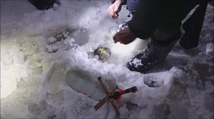 Открытие первого льда продолжается. Нижний пруд. Клёвое место Лосиный остров.