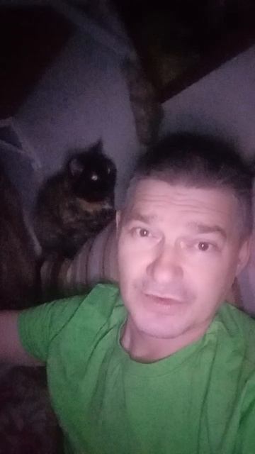 песня топчик смотреть онлайн