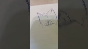 Настя дура тупая